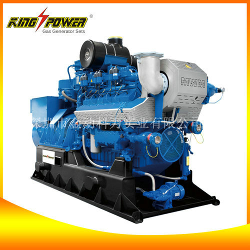 【生物質(zhì)氣發(fā)電機(jī)生產(chǎn)商】資源問題的壓力大！