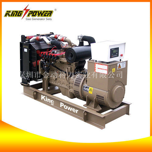 【頁巖氣發(fā)電機廠家】“能源”代表著實力！