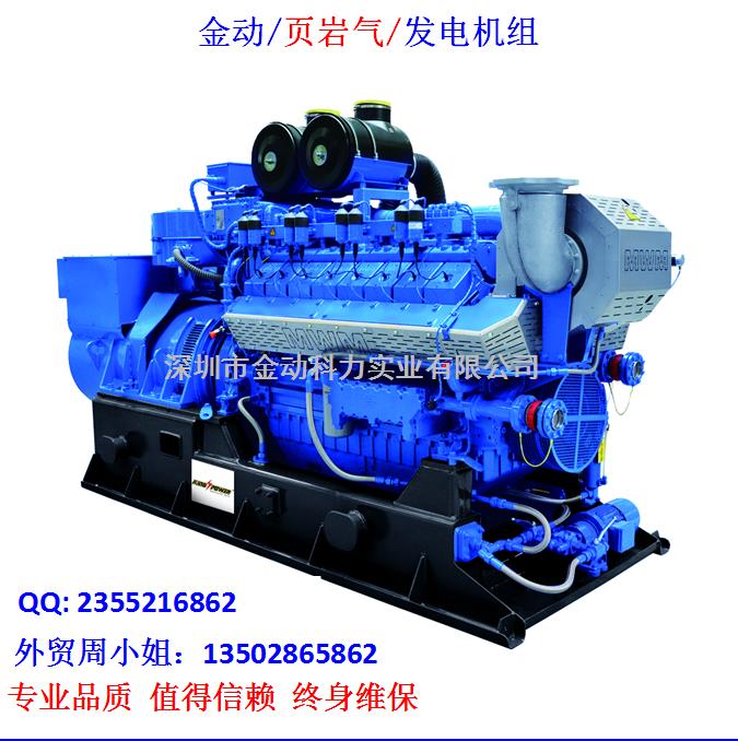 【深圳頁巖氣發(fā)電機】 發(fā)展趨勢無懈可擋！