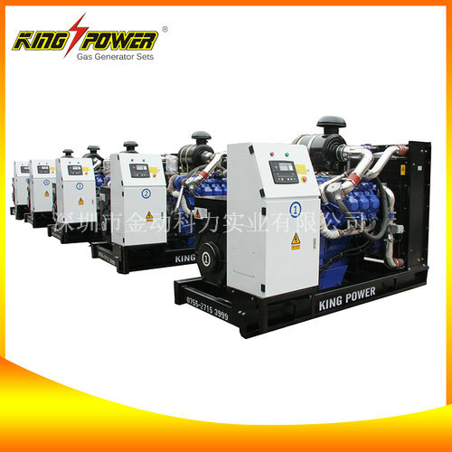 【頁巖氣發(fā)電機價格】為你提供屬于你的能源！