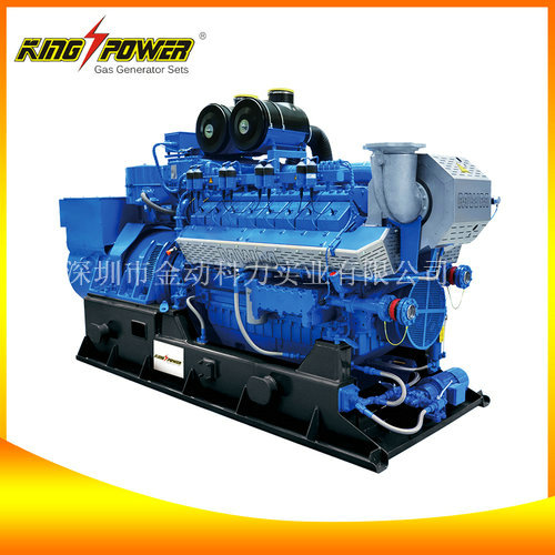 進口沼氣發(fā)電機