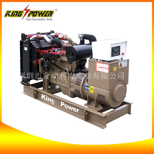 廣東天燃氣發(fā)電機/供應(yīng)天然氣發(fā)電機